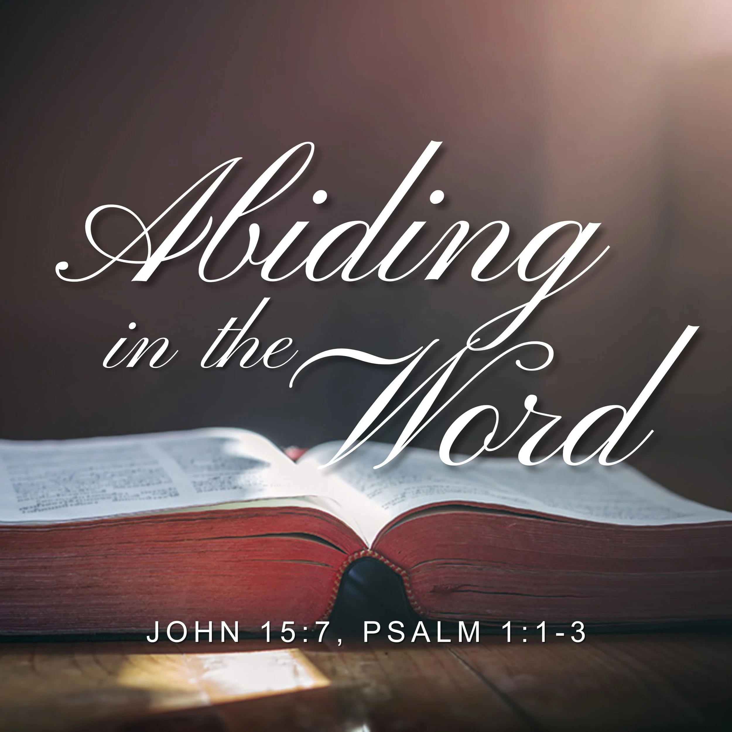 Abiding in the Word