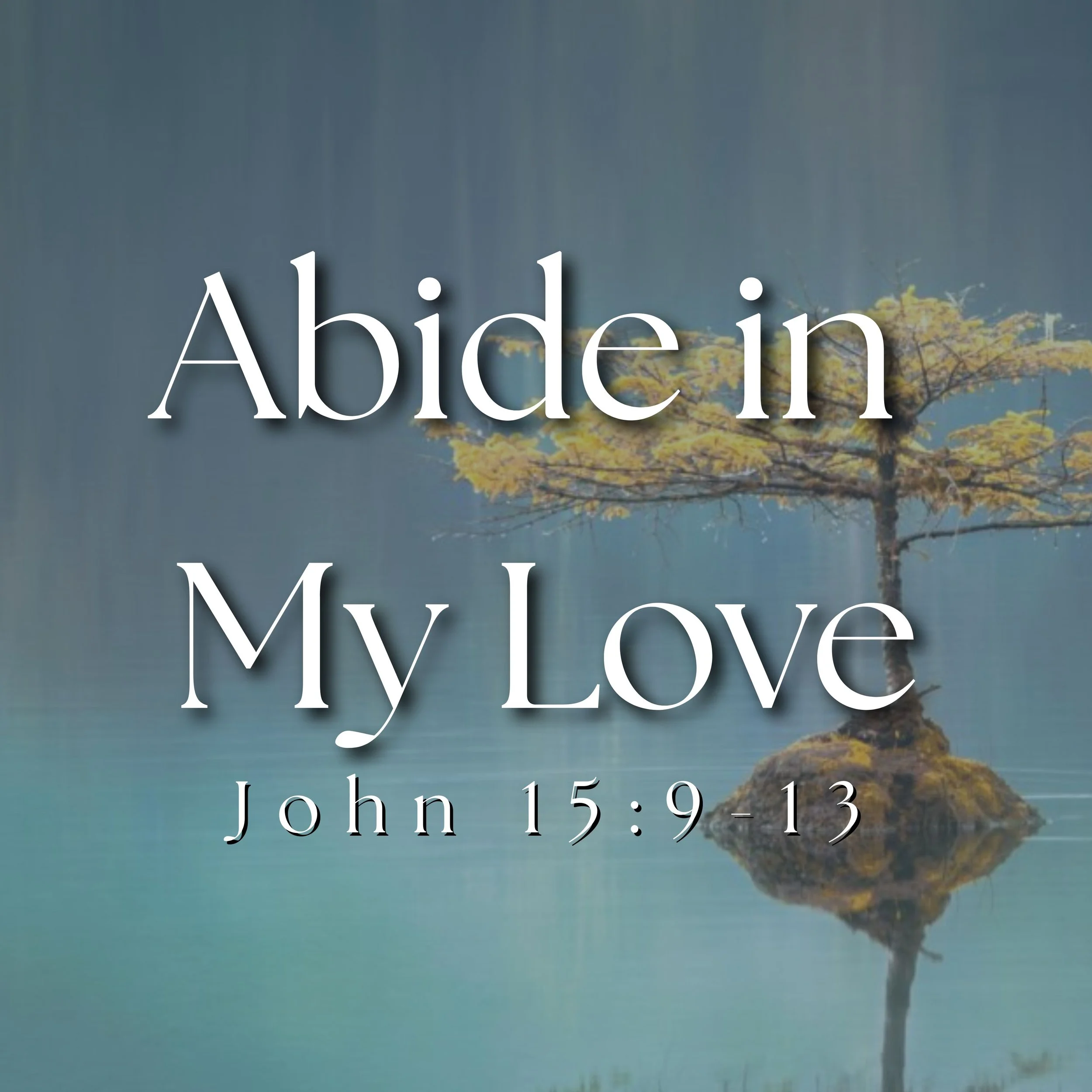 Abide in My Love