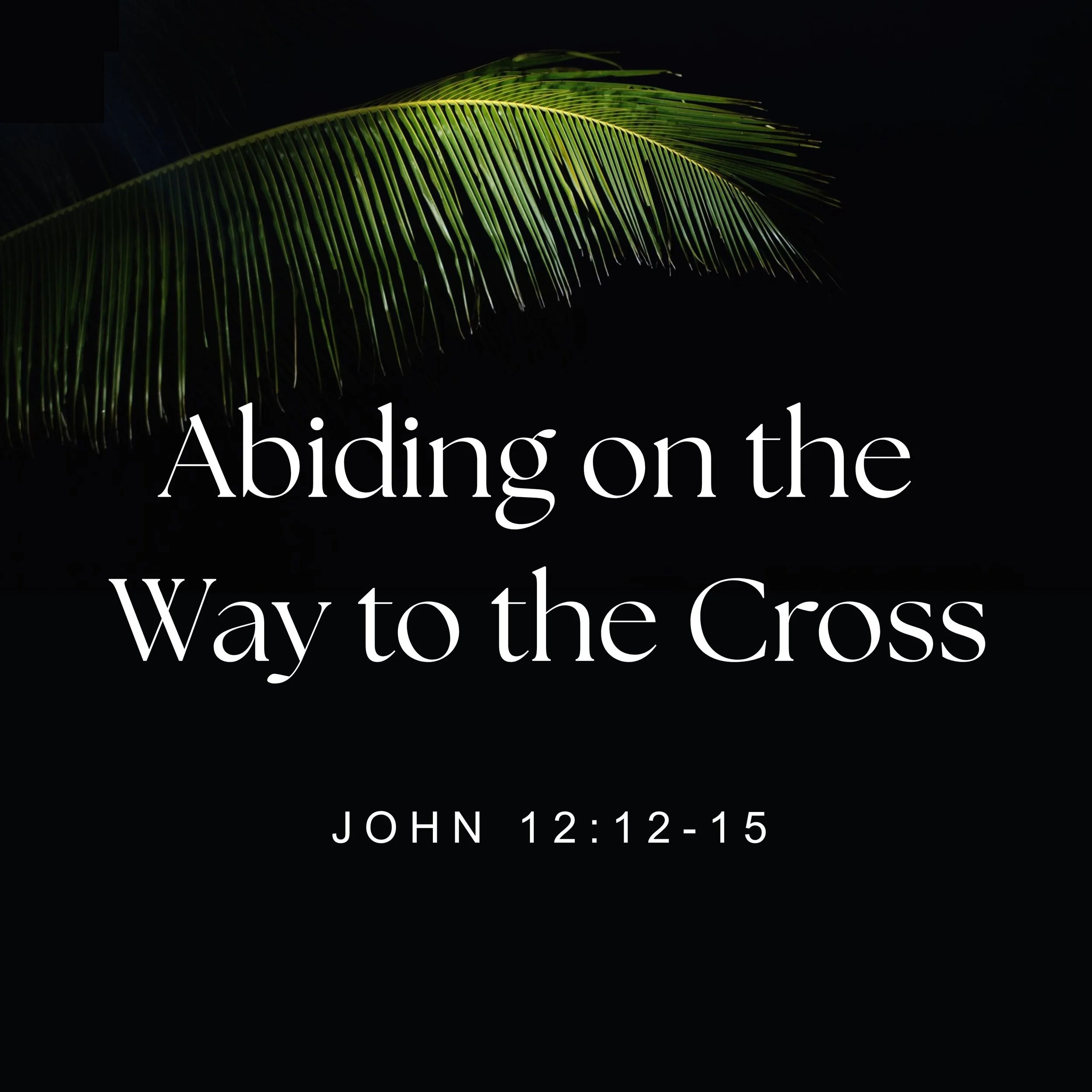 Abiding on the Way to the Cross