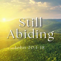Still Abiding