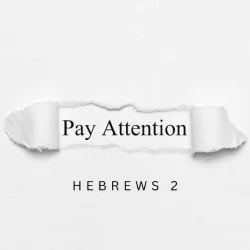 Pay Attention