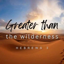 The Wilderness
