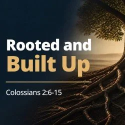 Rooted and Built Up