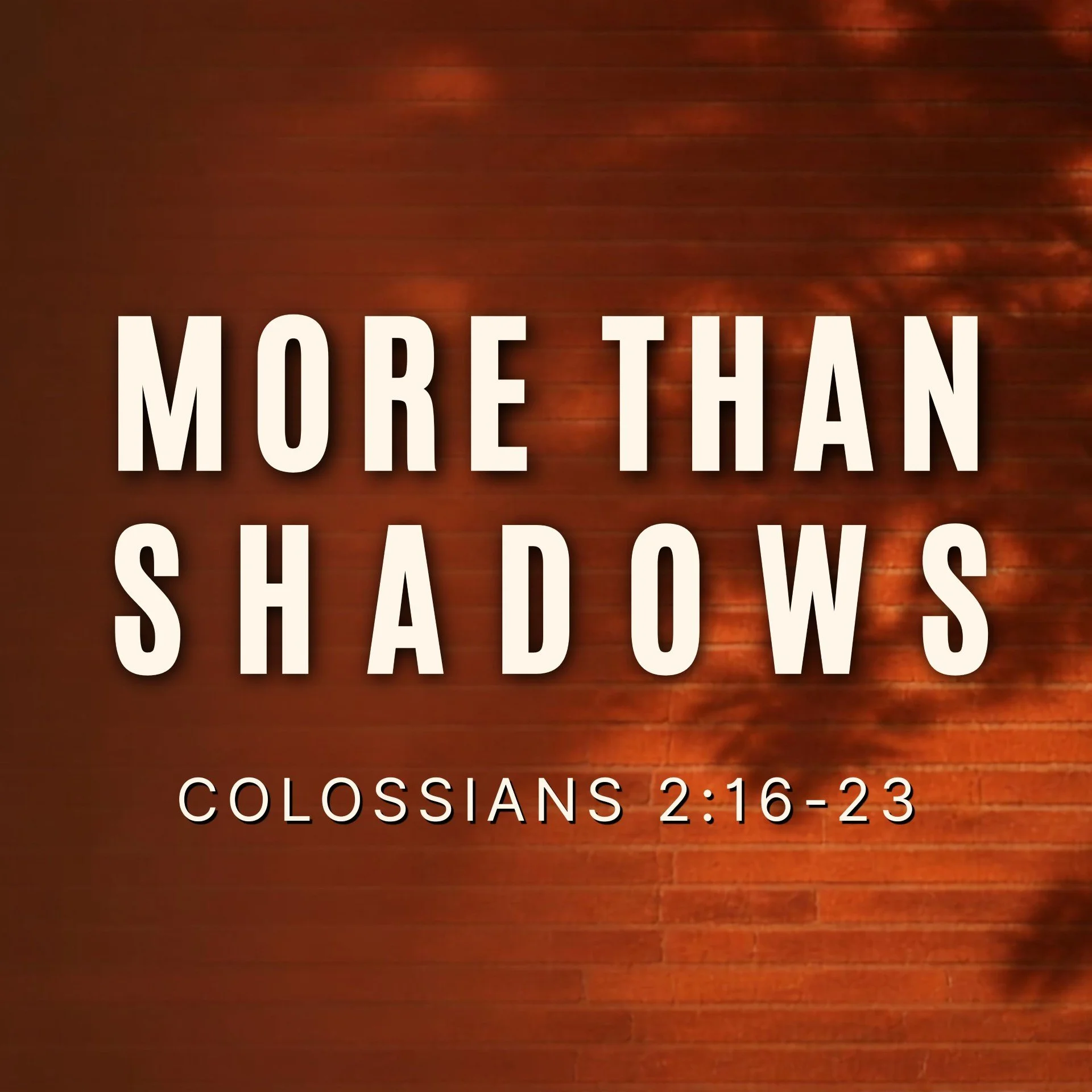 More Than Shadows