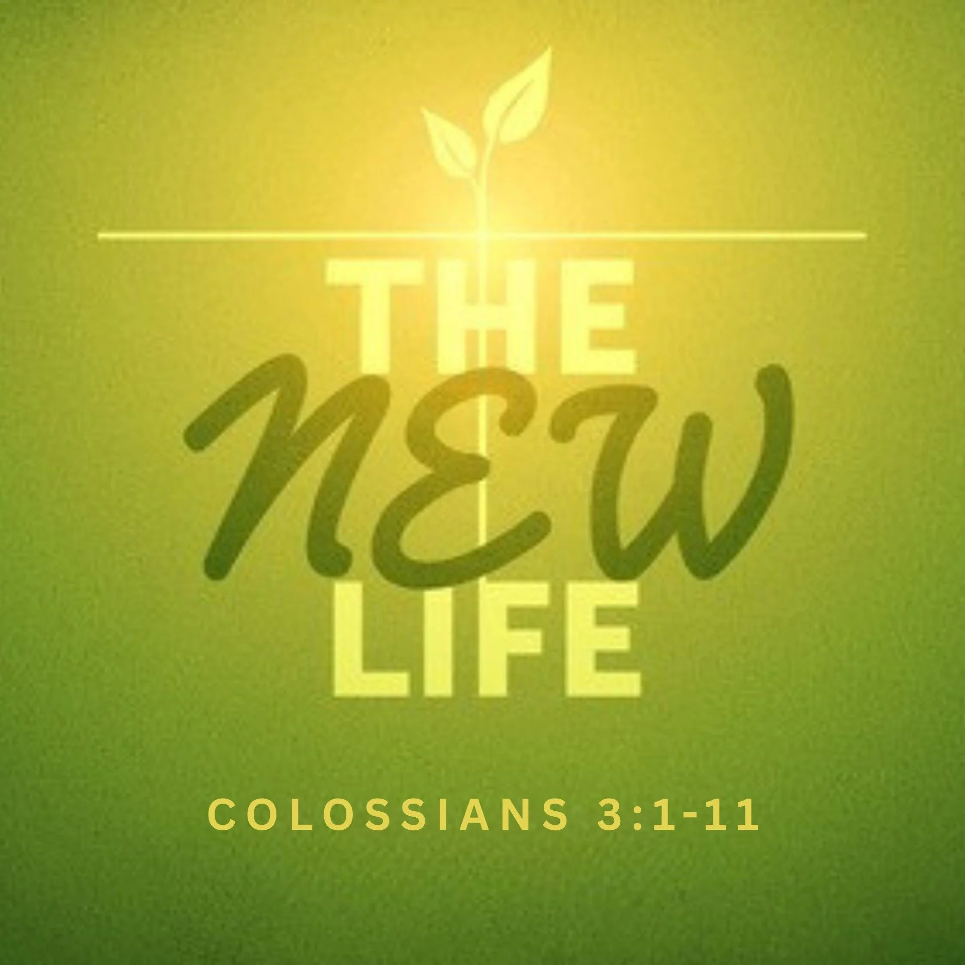 The New Life