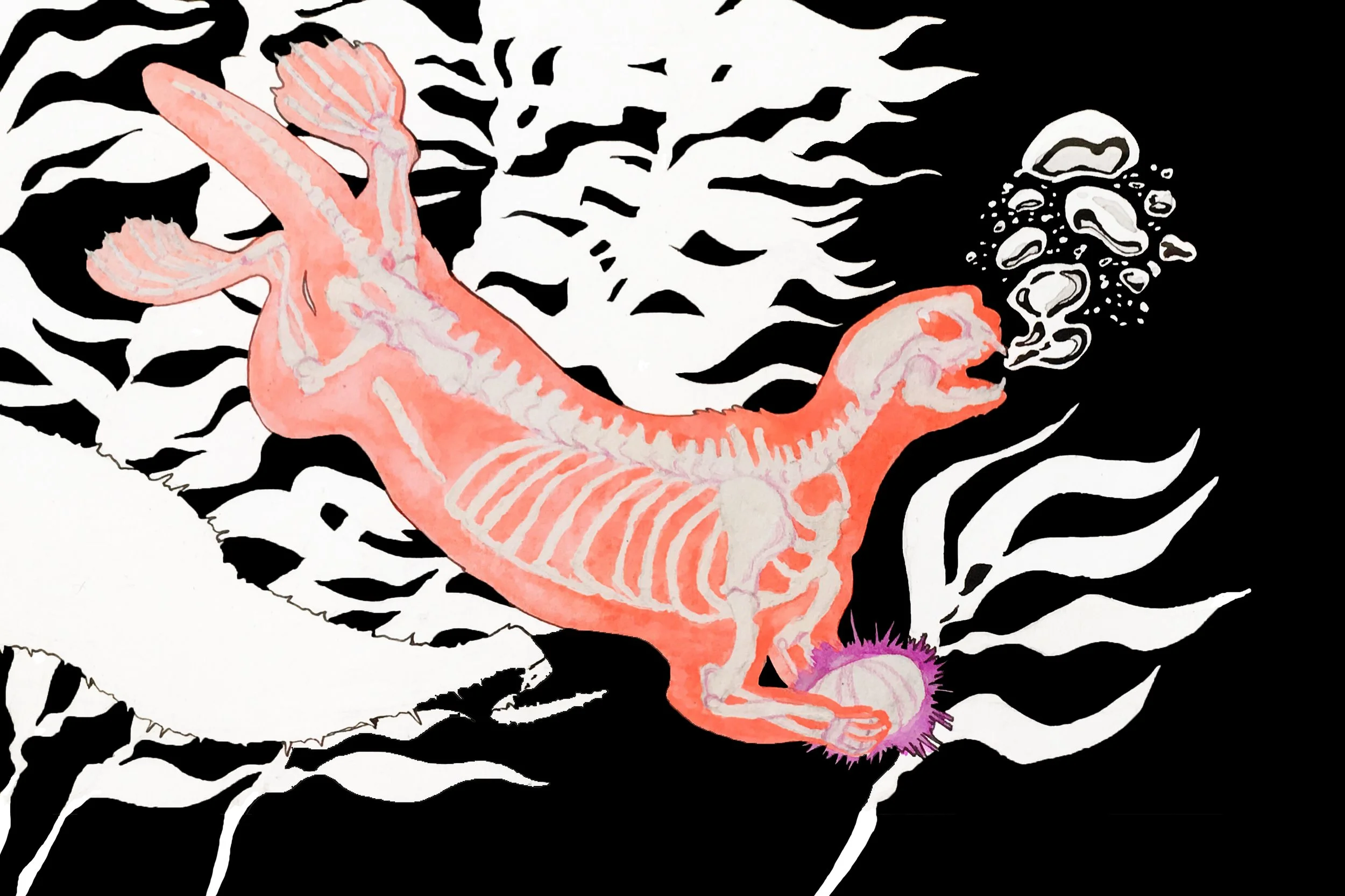 Sea Otter in Neon