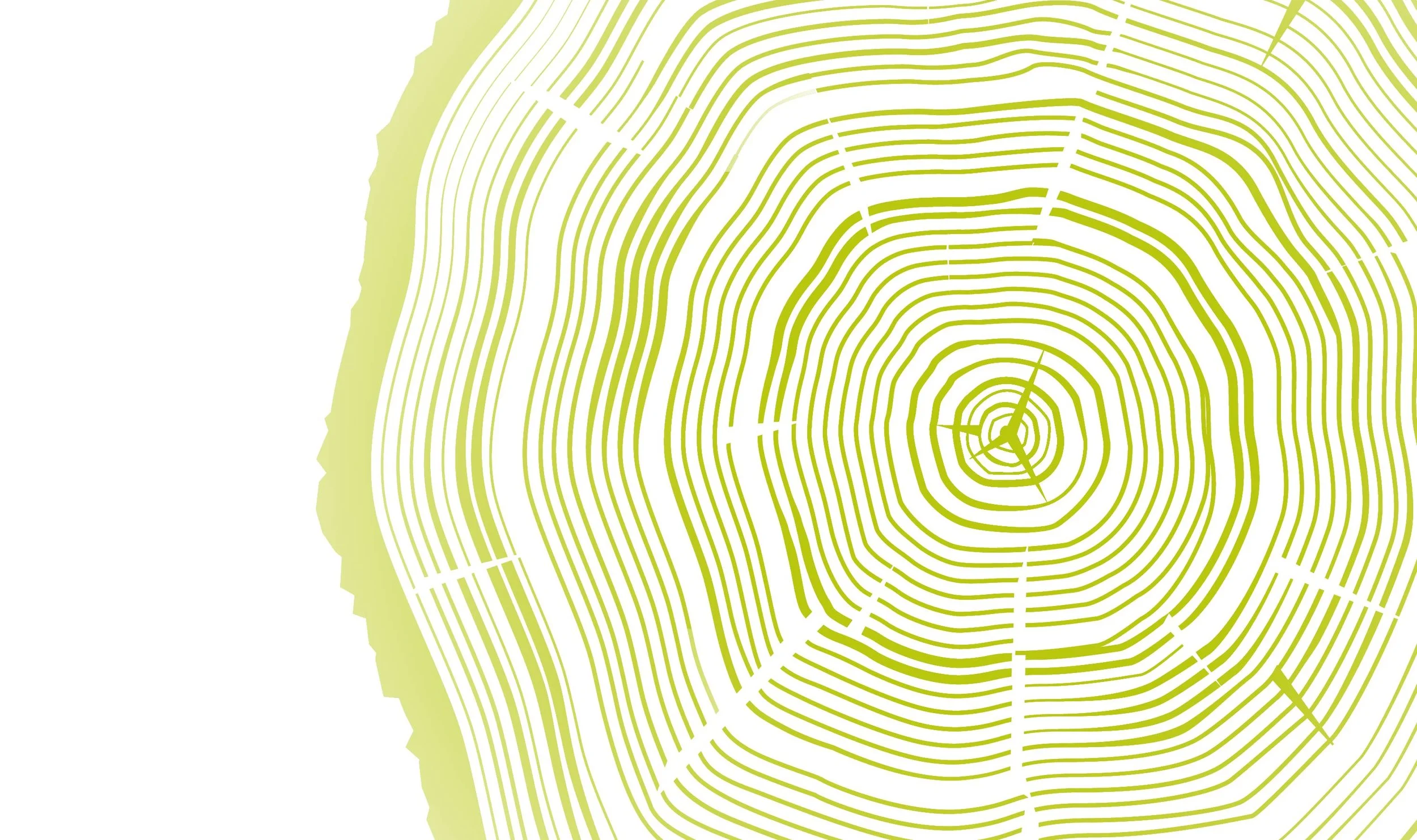 treering-bg-wht.jpg