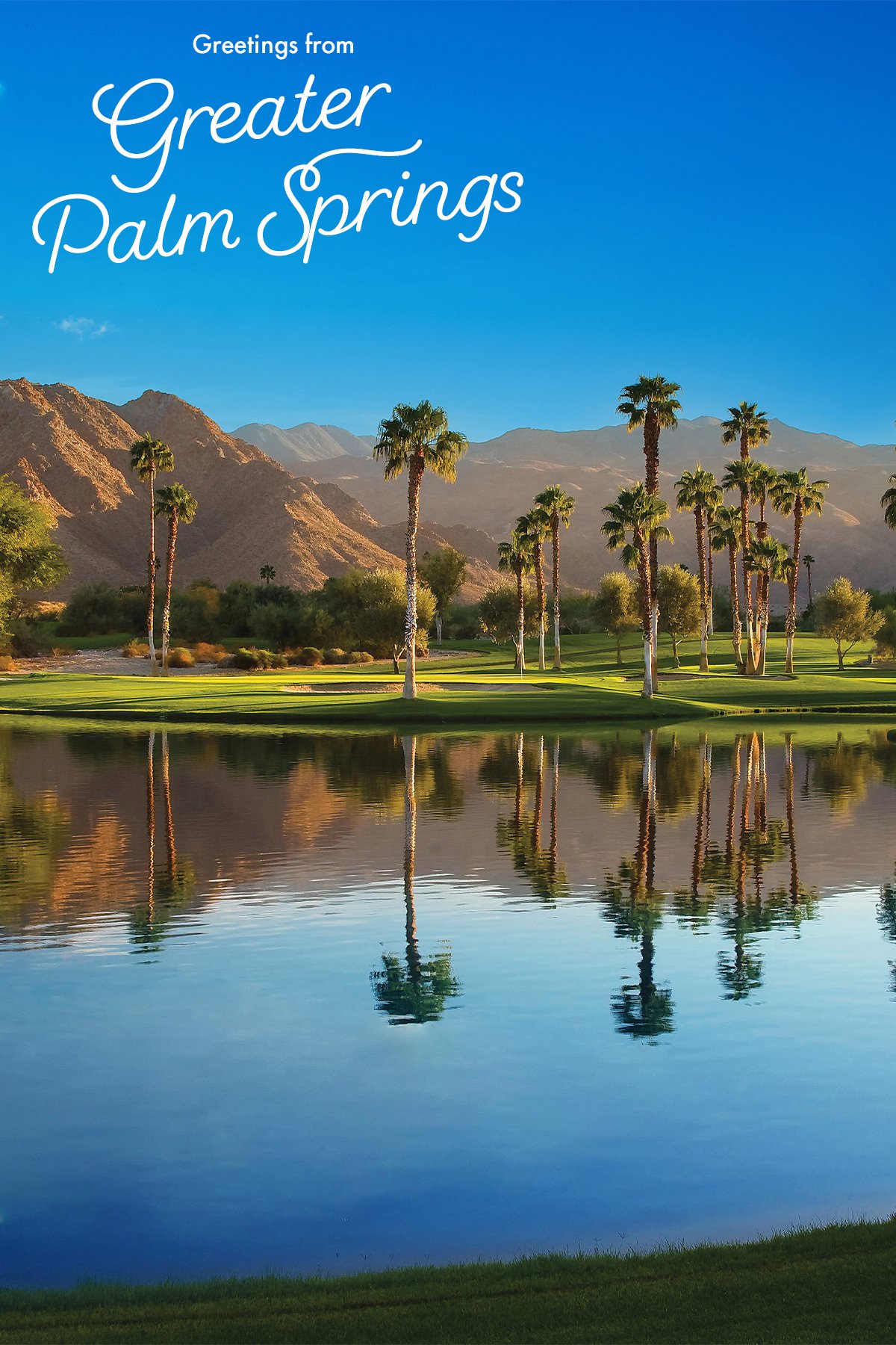 VGPS25_ASAE_Dog_Bark_Backdrop_1200x1800A_0715.jpg