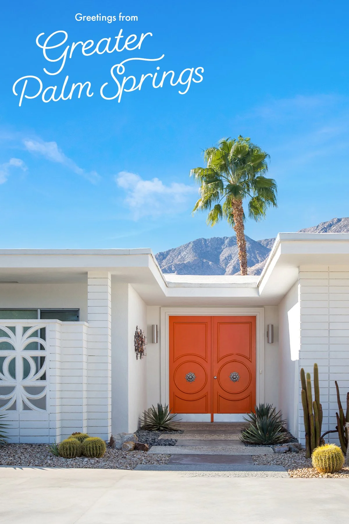 VGPS25_ASAE_Dog_Bark_Backdrop_1200x1800C_0715.jpg