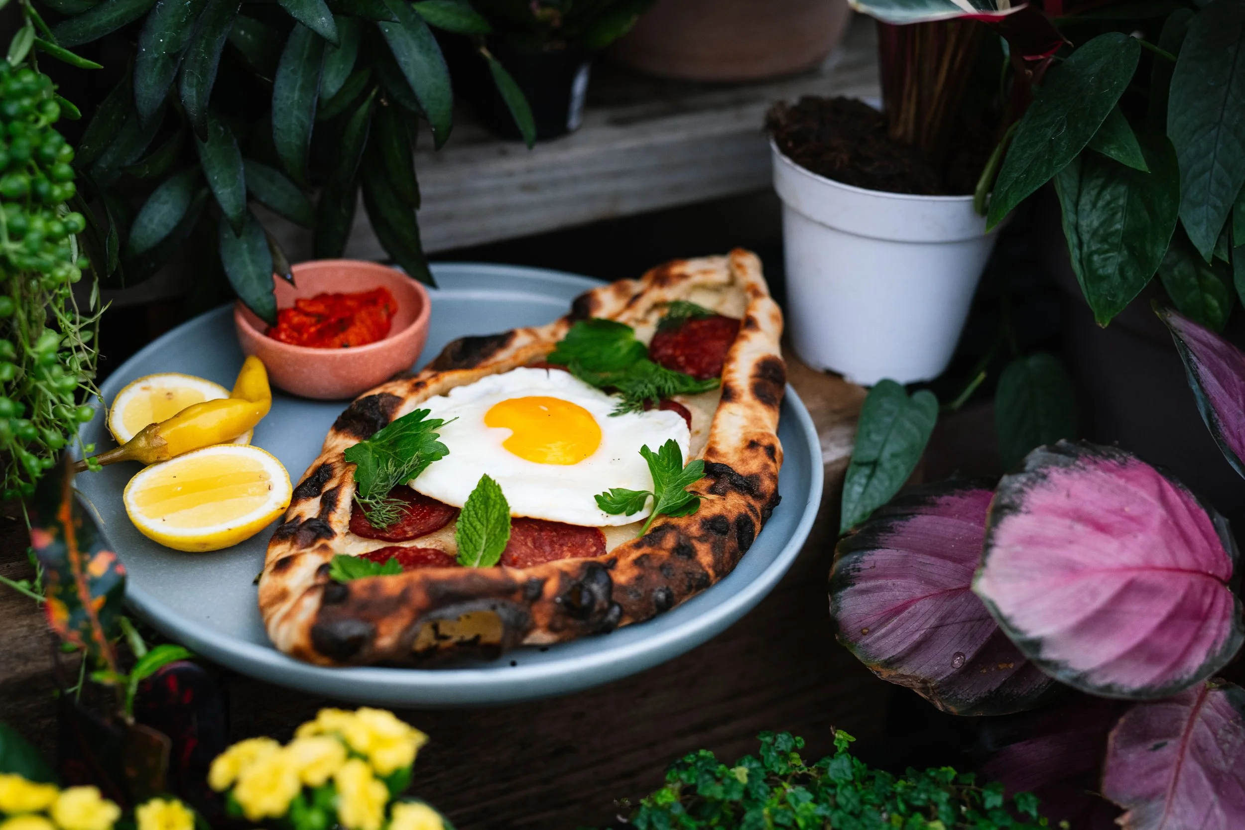 Fattoush flatbread topped with a fried egg, surrounded by lemon wedges, a small bowl of tomato dip, and garnished with parsley and mint, on a light blue plate amidst potted plants and flowers.