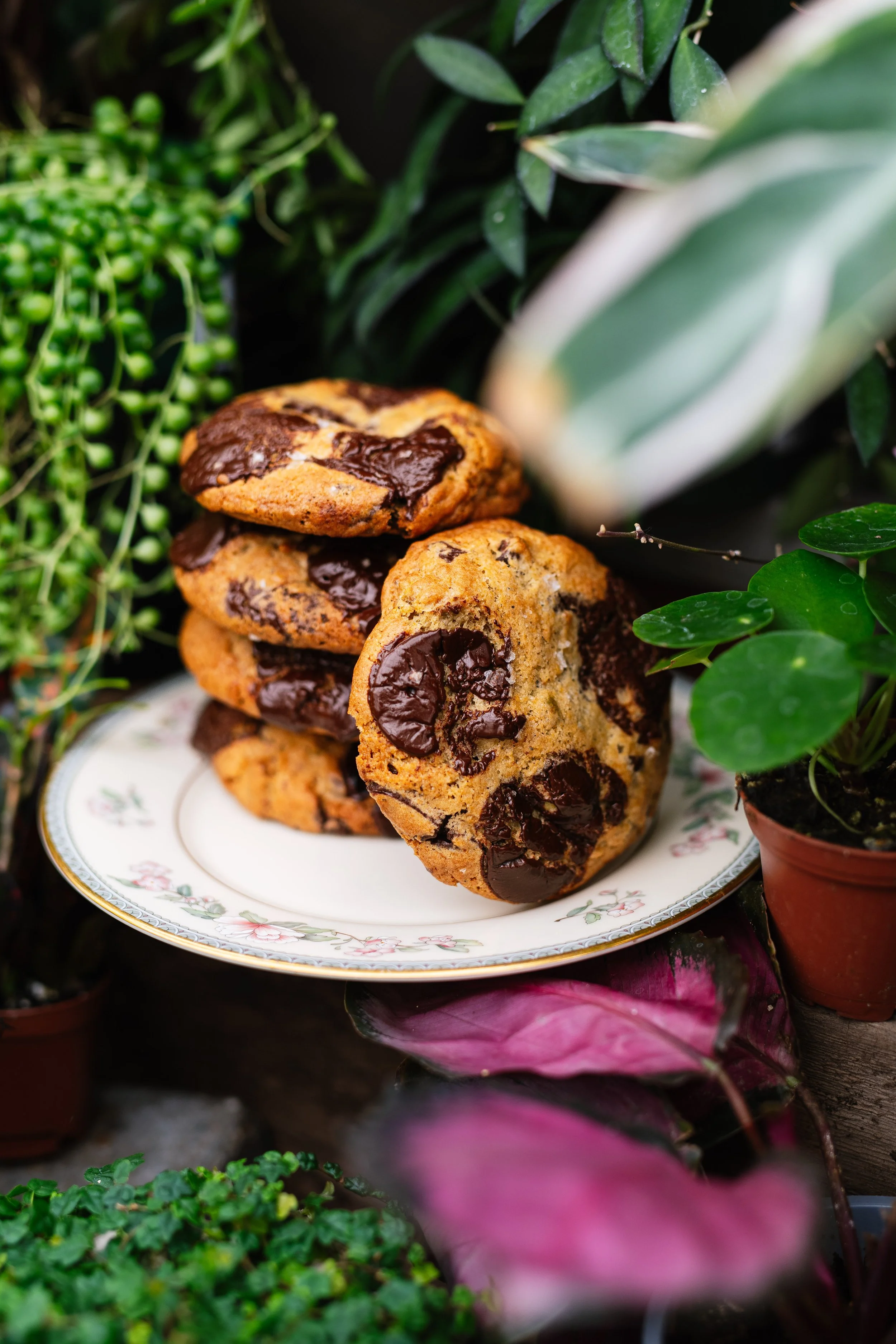 Stack of four chocolate chip cookies on a decorative plate surrounded by green plants and pink flowers.