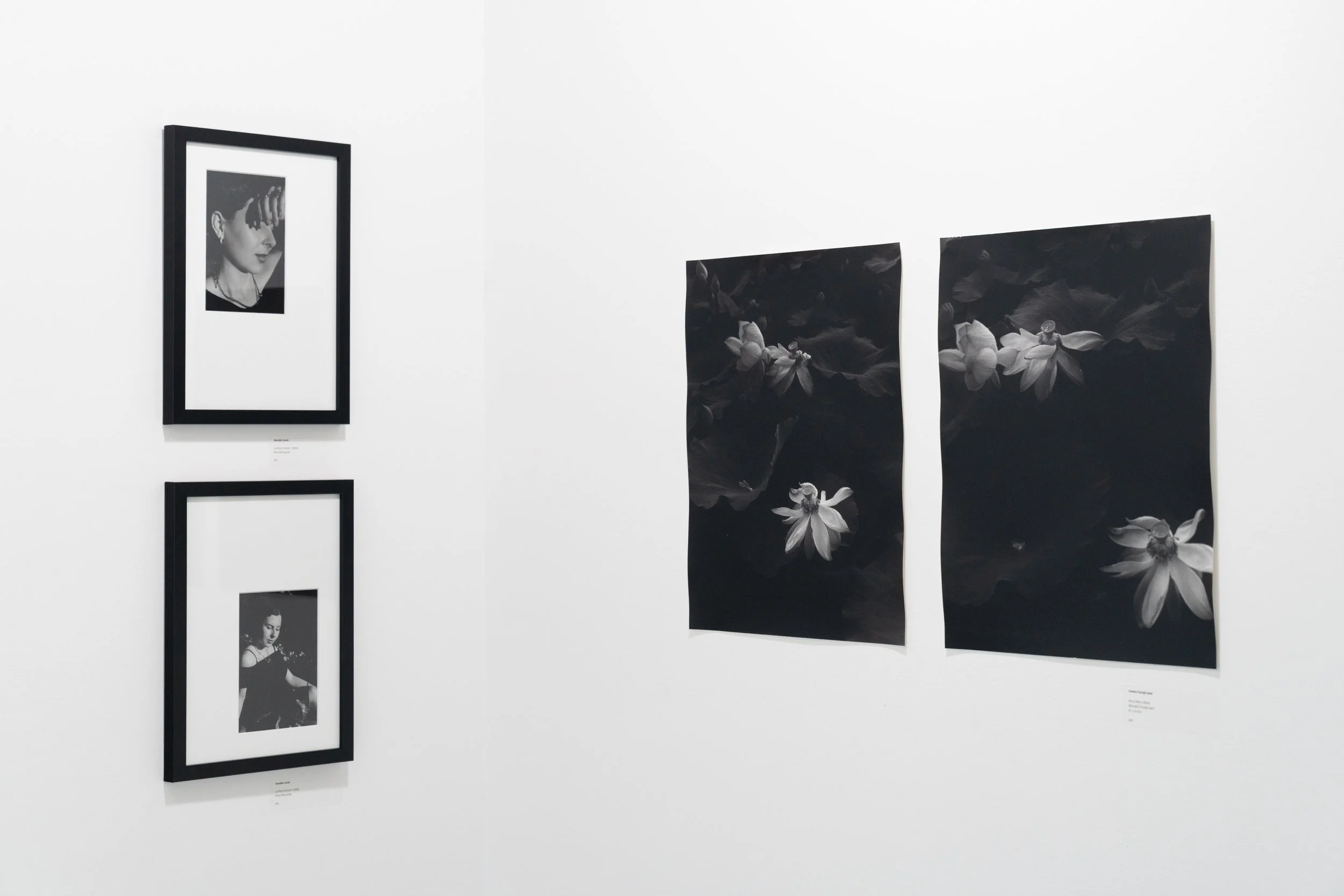 BD Gallery Documentation-3.jpg