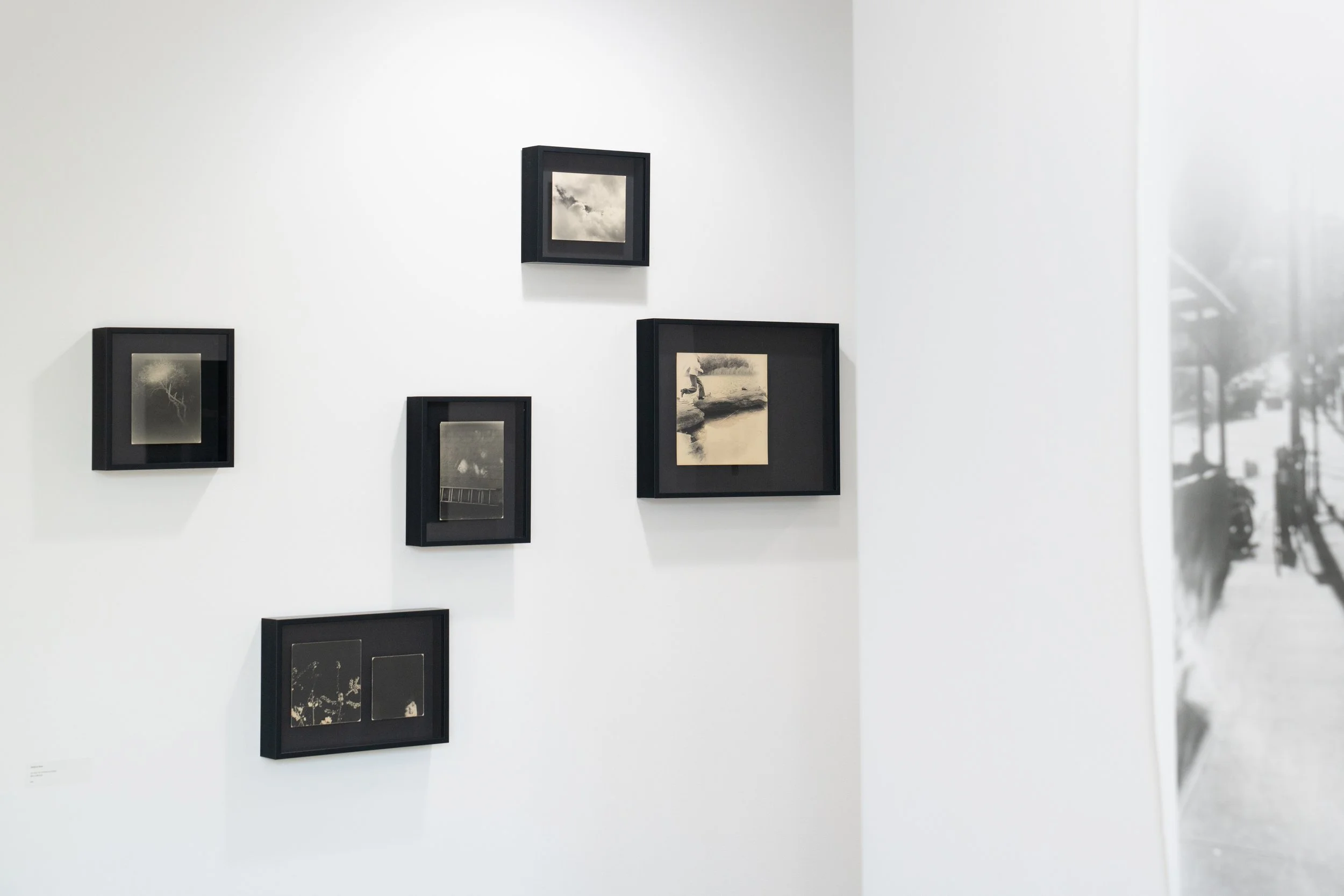 BD Gallery Documentation-4.jpg