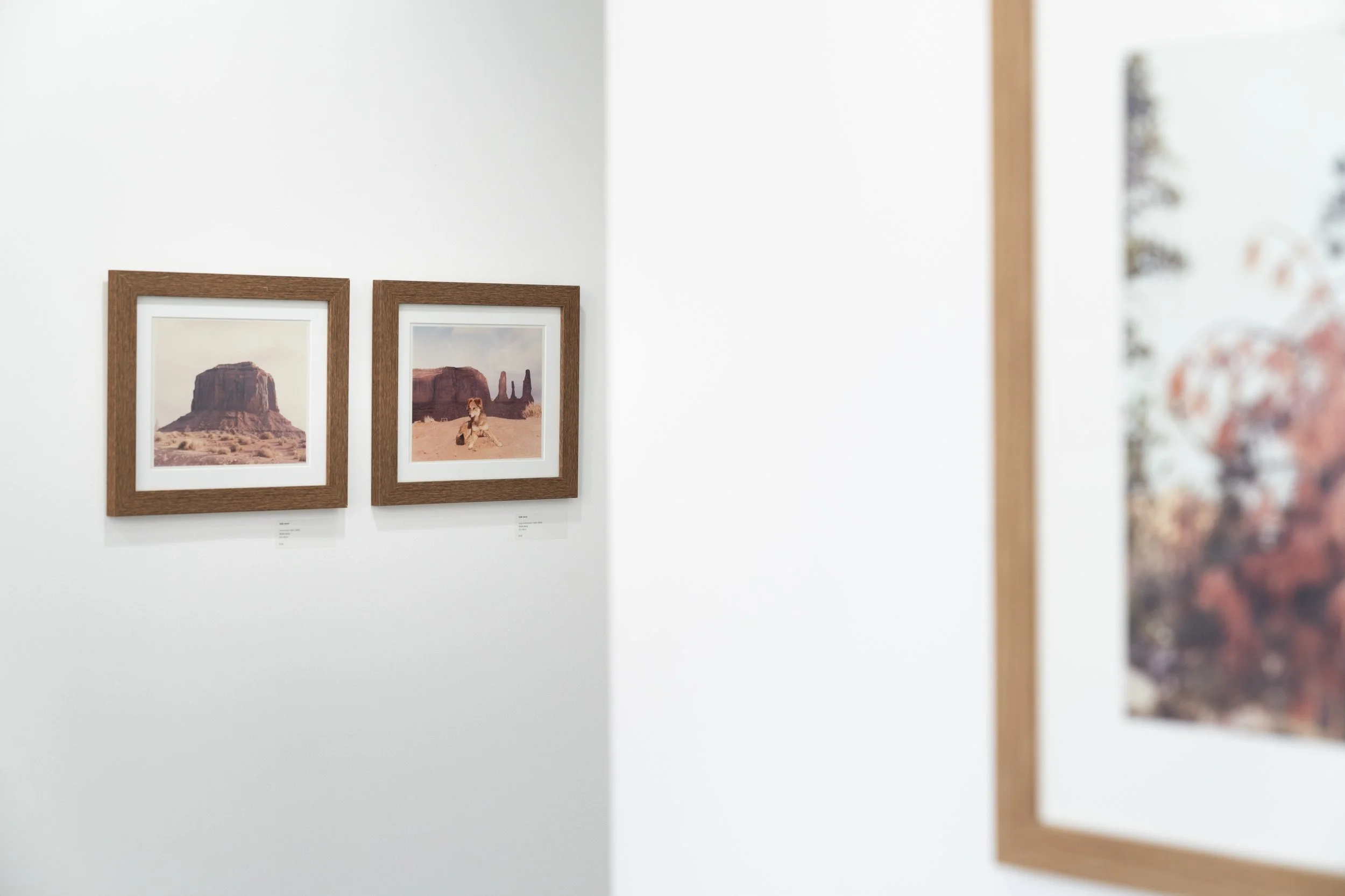 BD Gallery Documentation-7.jpg