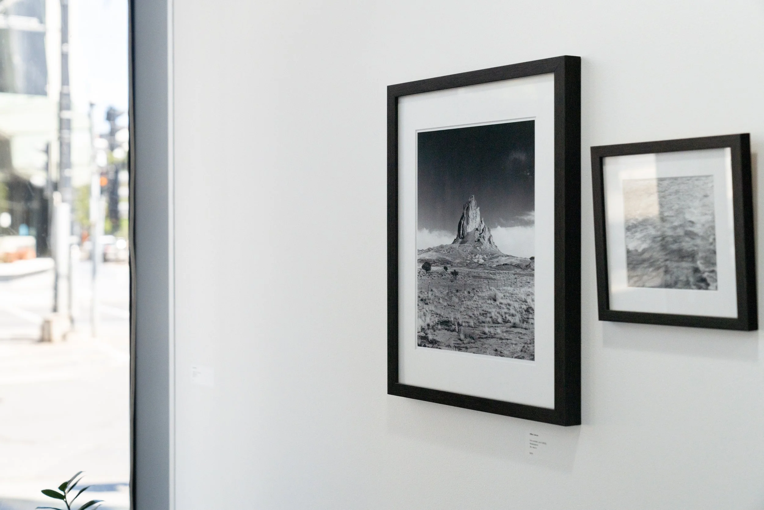 BD Gallery Documentation-9.jpg