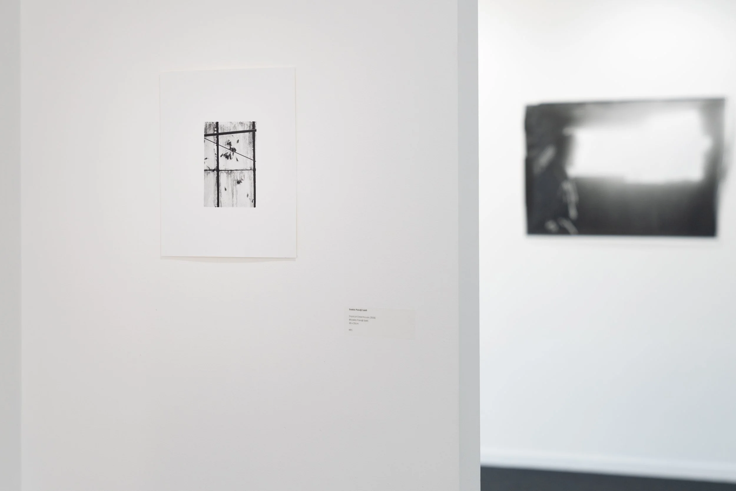 BD Gallery Documentation-10.jpg