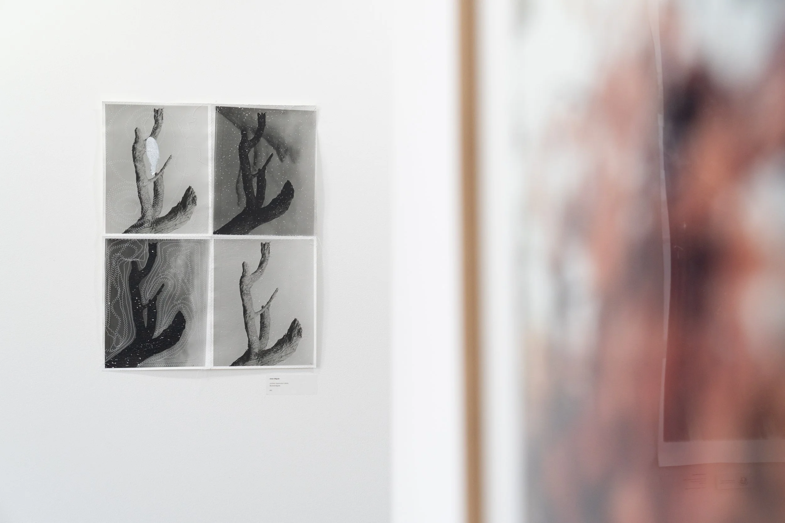 BD Gallery Documentation-13.jpg