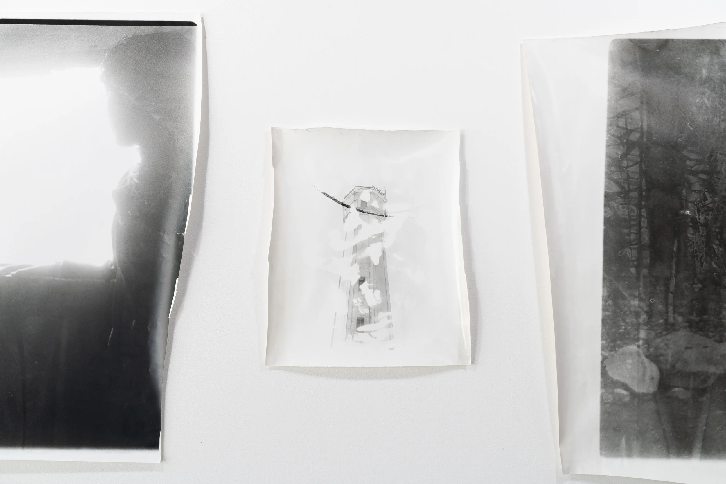 BD Gallery Documentation-16.jpg