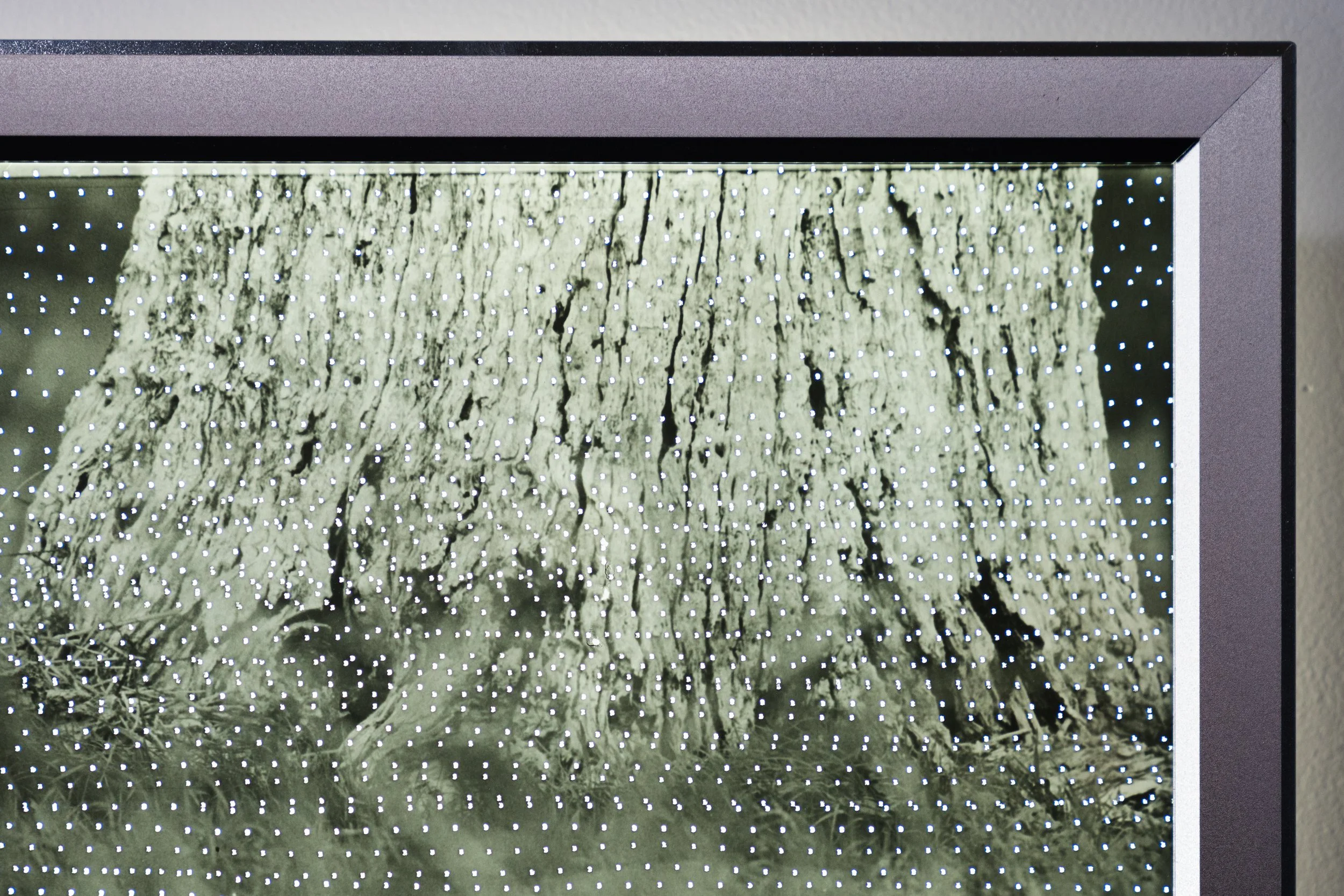 BD Gallery Documentation-15.jpg