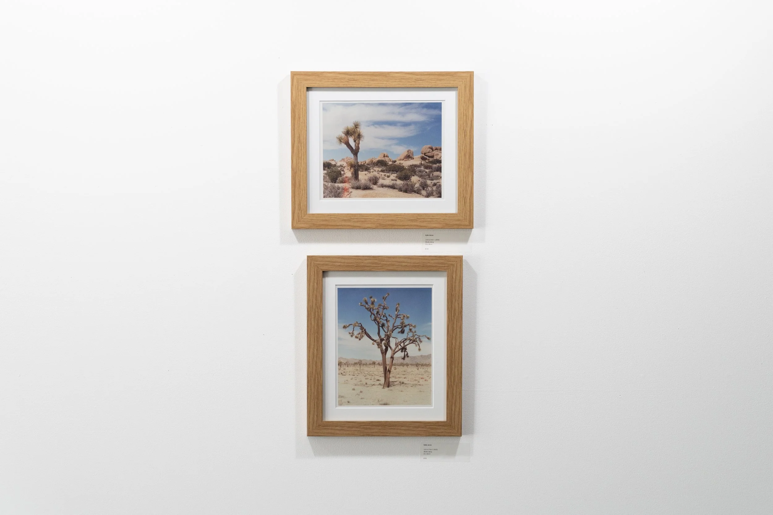 BD Gallery Documentation-17.jpg