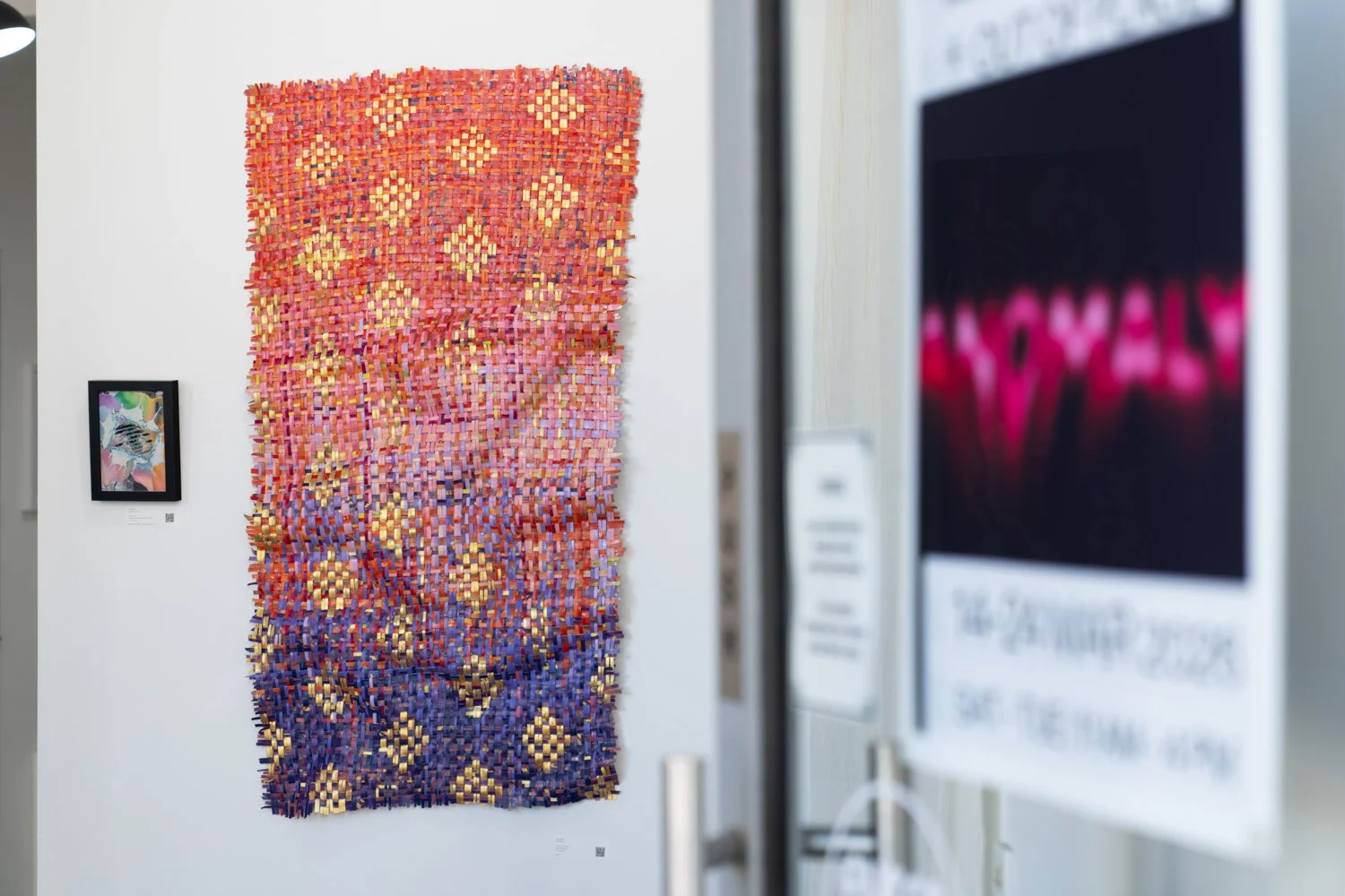 Anomoly Install-16.jpg