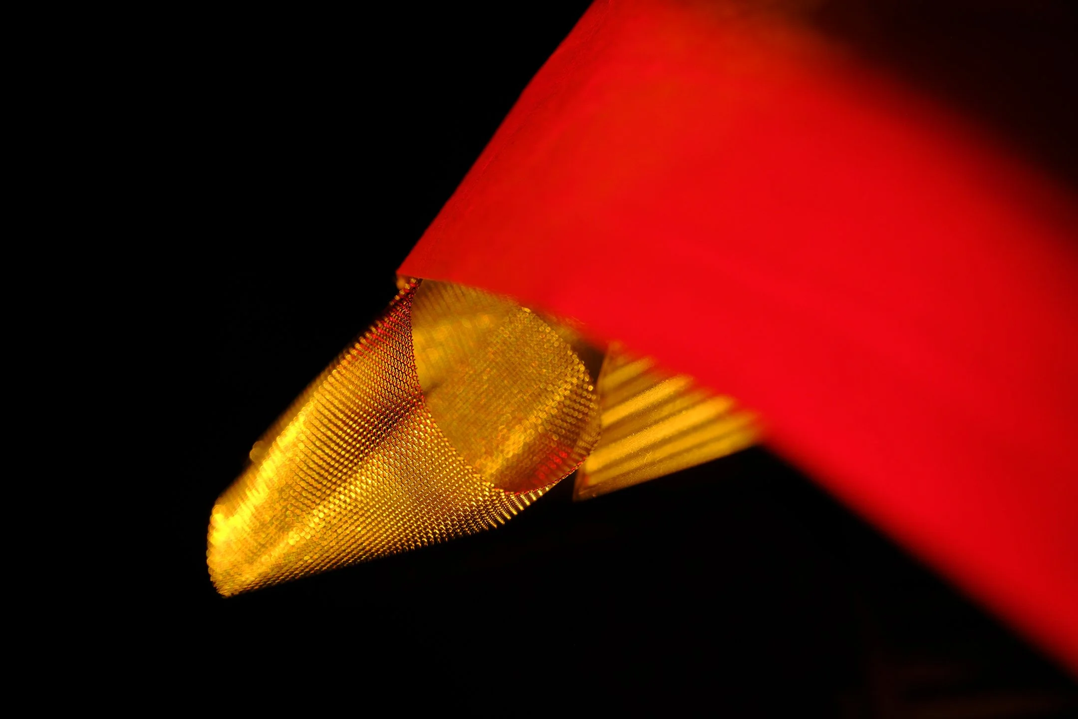 Mario F Bocanegra Martinez