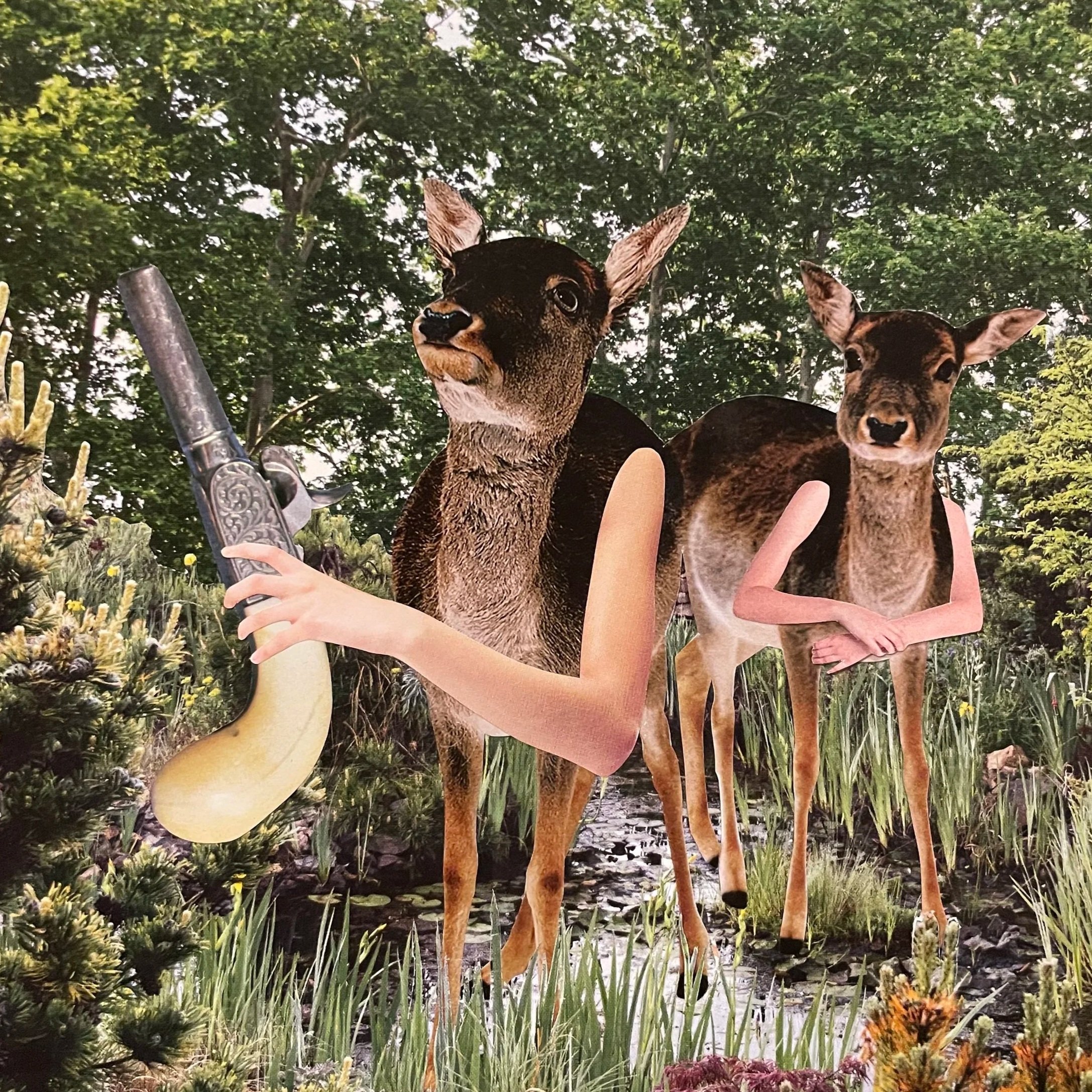 Cassandra Bleechmore