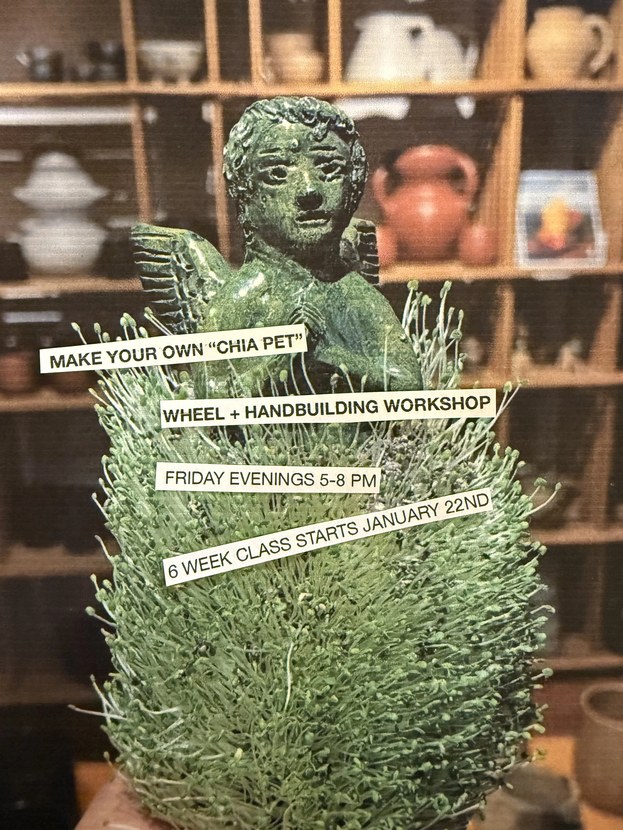 MAKE YOUR OWN "CHIA PET" WORKSHOP