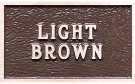 Bronze plaque painted a light brown color