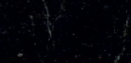 black granite with white veining