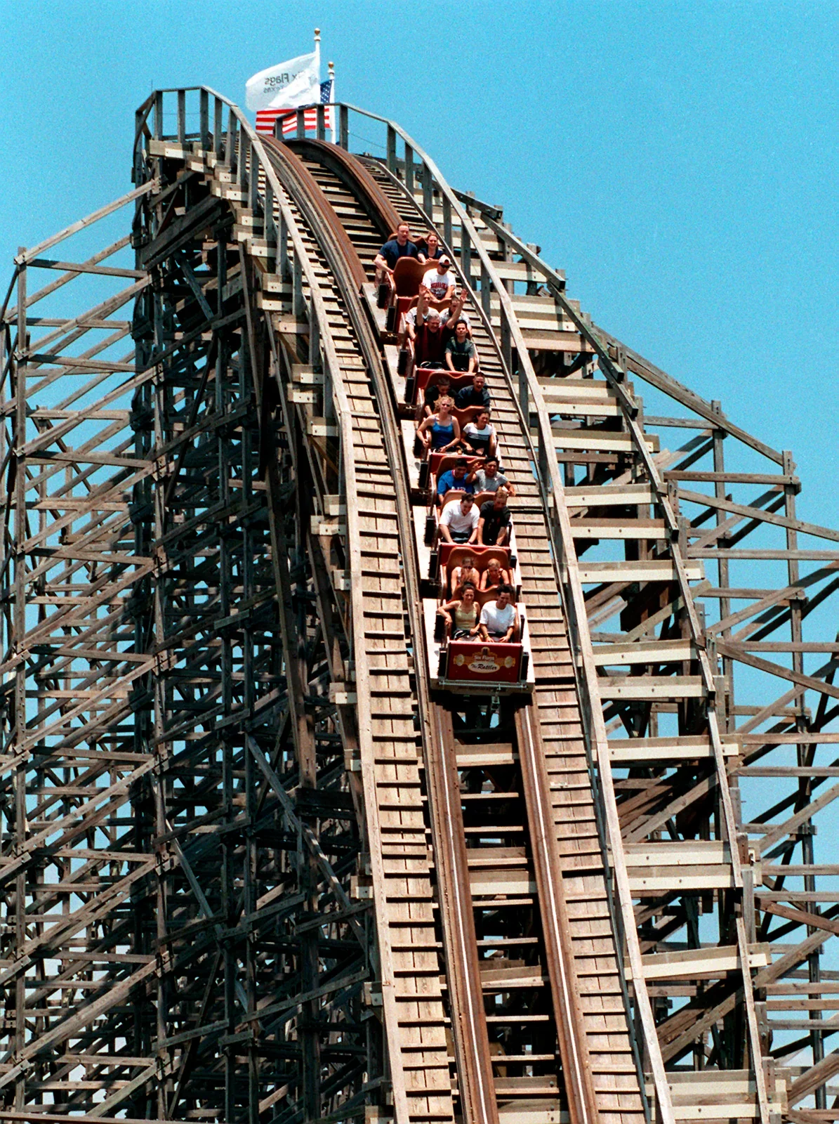 rattler.webp