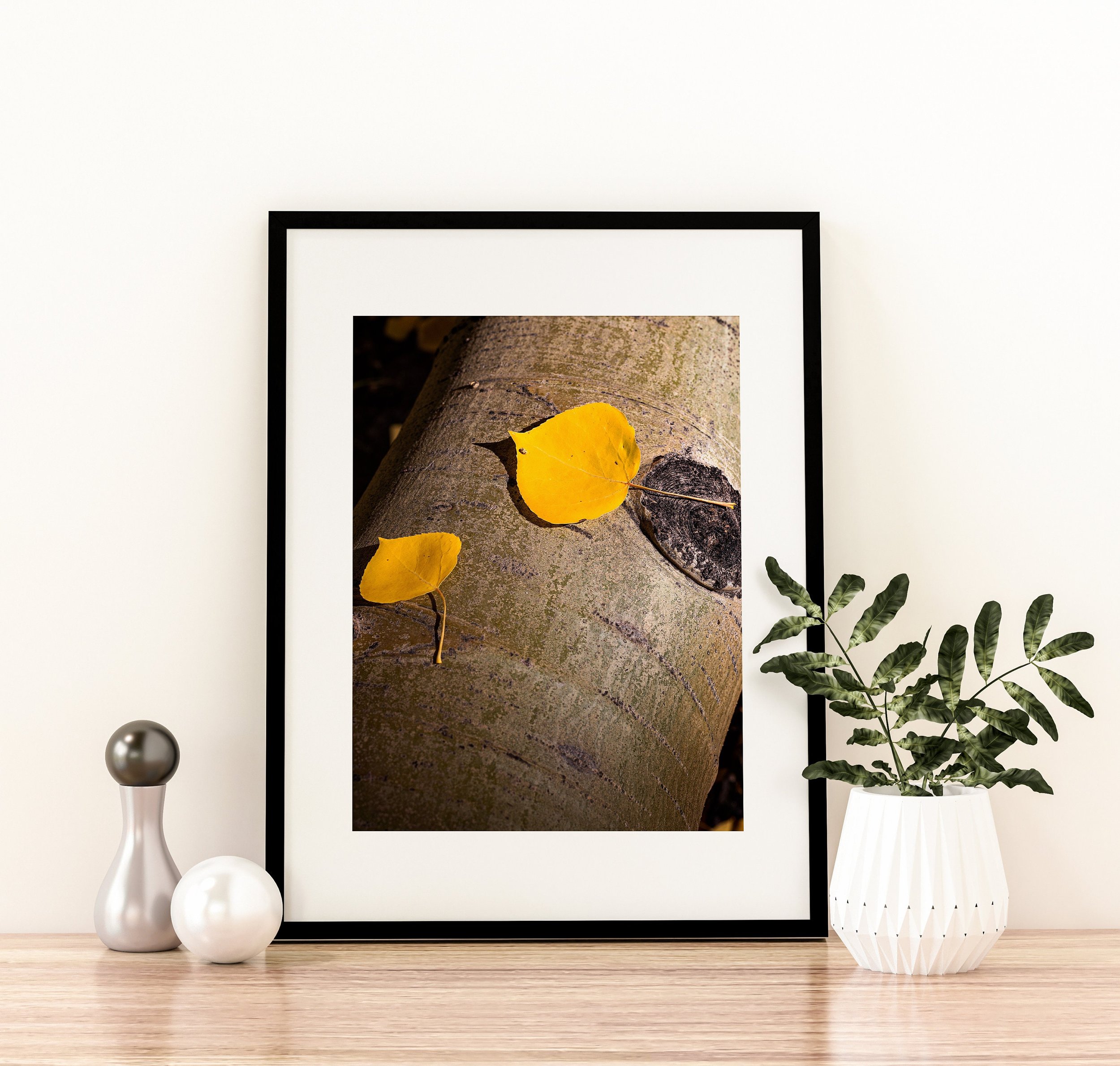 https://i.etsystatic.com/18806673/r/il/a01b63/3738239576/il_fullxfull.3738239576_cq2t.jpg