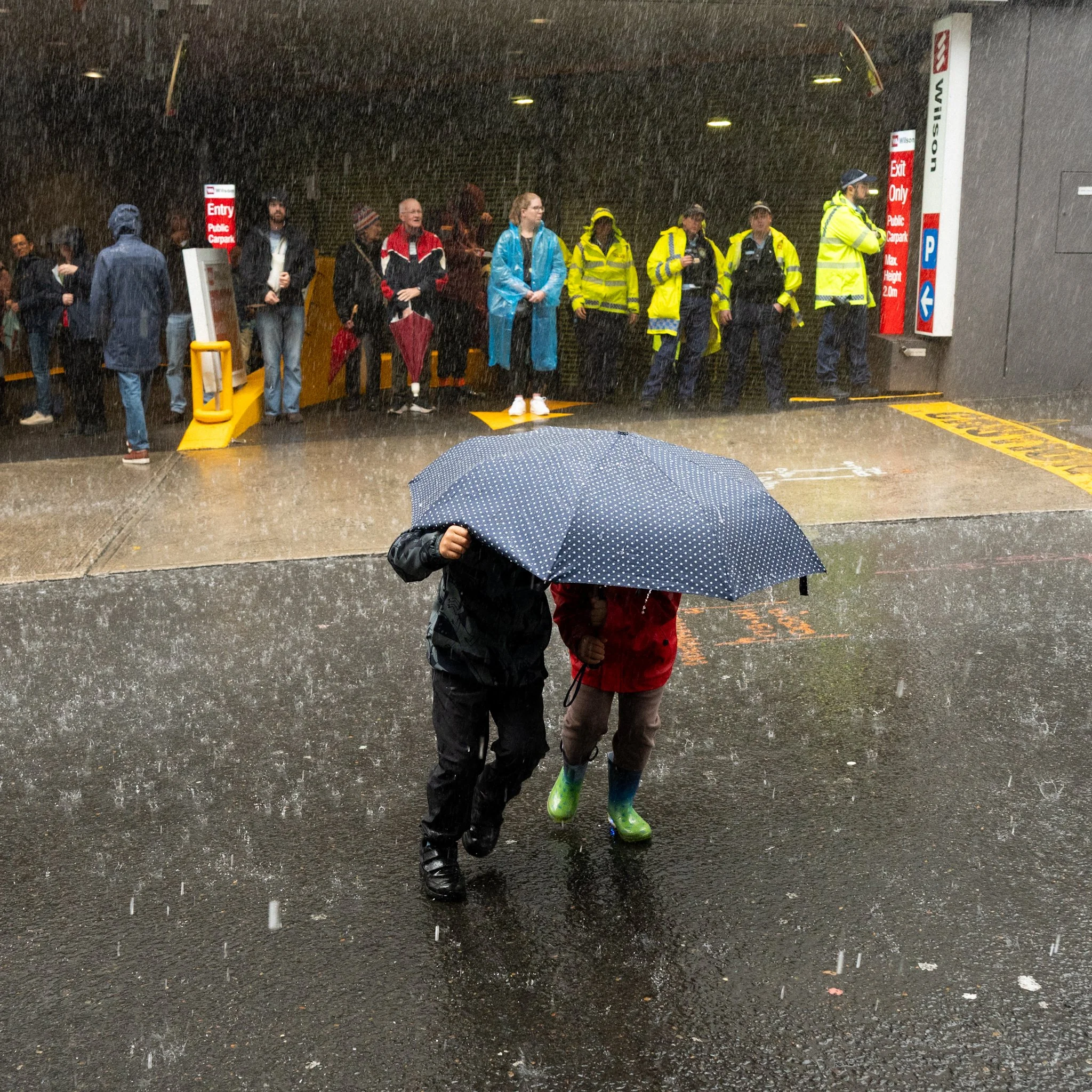 Photo 3-8-2025, 2 03 55 am.jpg