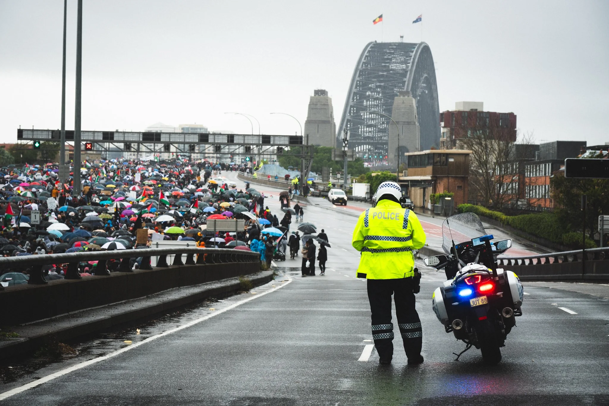 Photo 3-8-2025, 3 32 44 am.jpg