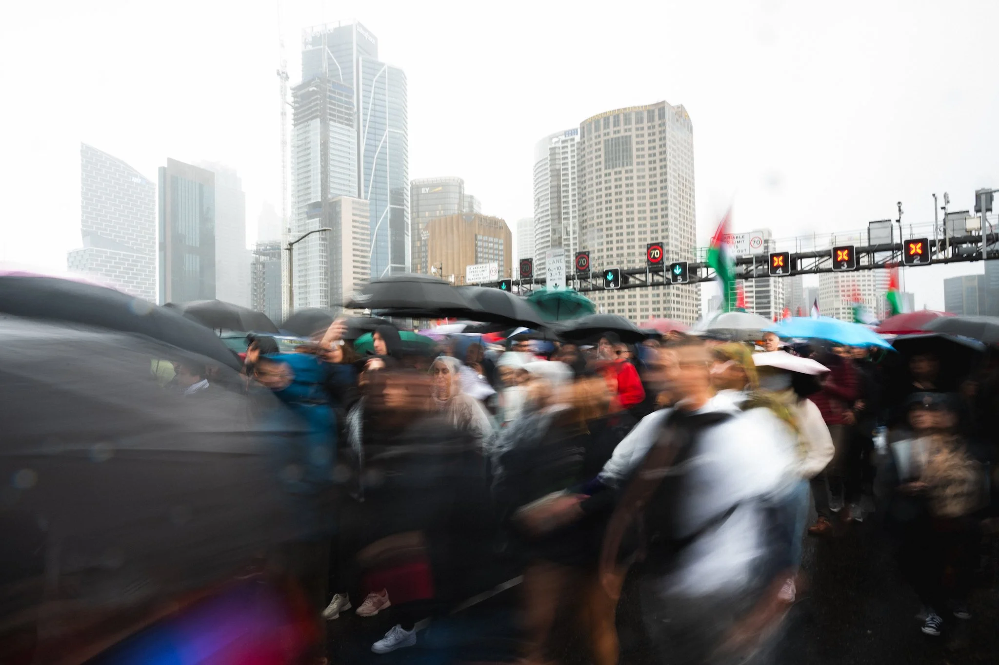 Photo 3-8-2025, 3 06 26 am.jpg