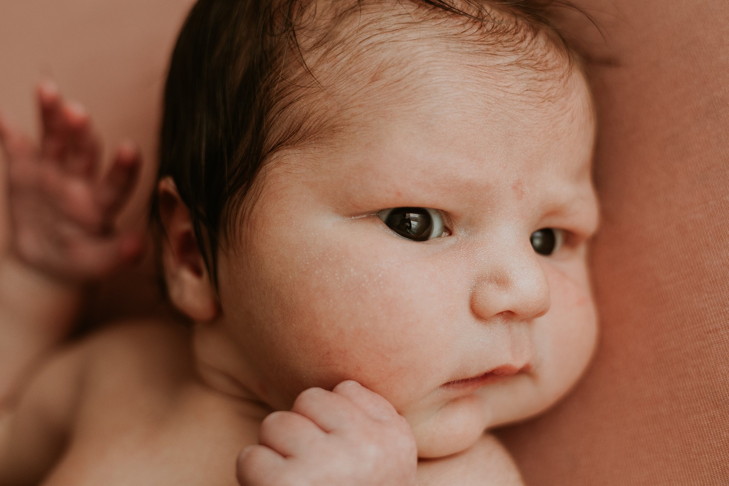 A curious, wide-eyed look from a newborn during her photoshoot in Bloomington Illinois.
