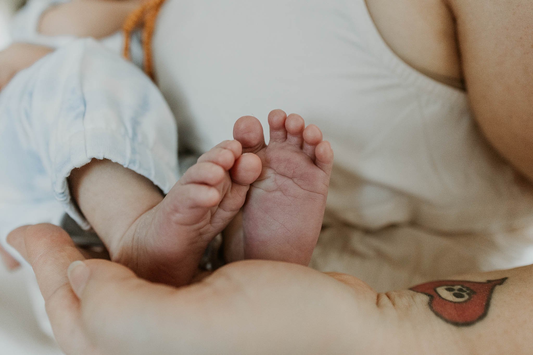 Baby toes are a favorite detail to capture during a newborn photoshoot.