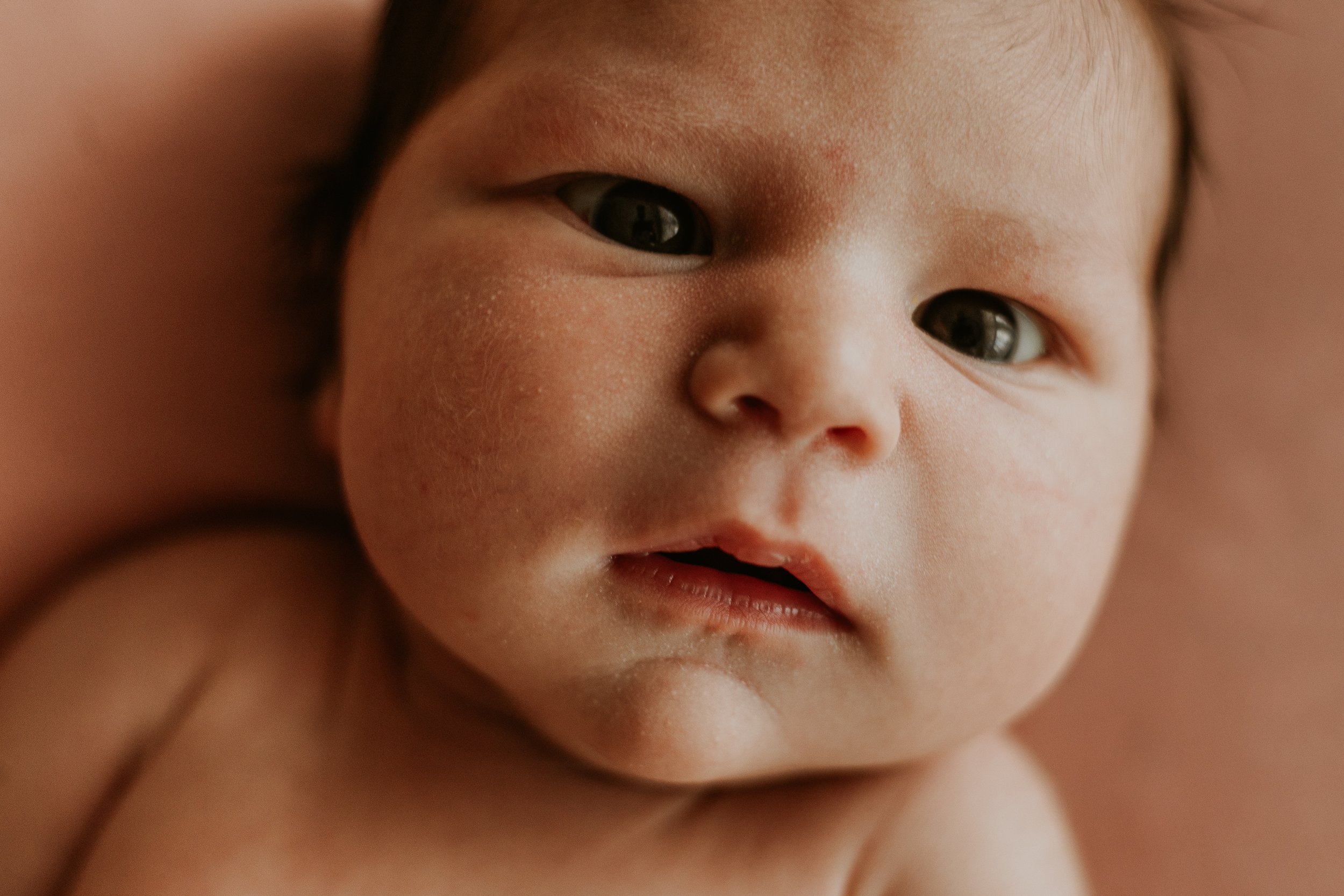 Studio portraits allow for close up details like this one of a newborn, eyes wide open during her photoshoot.