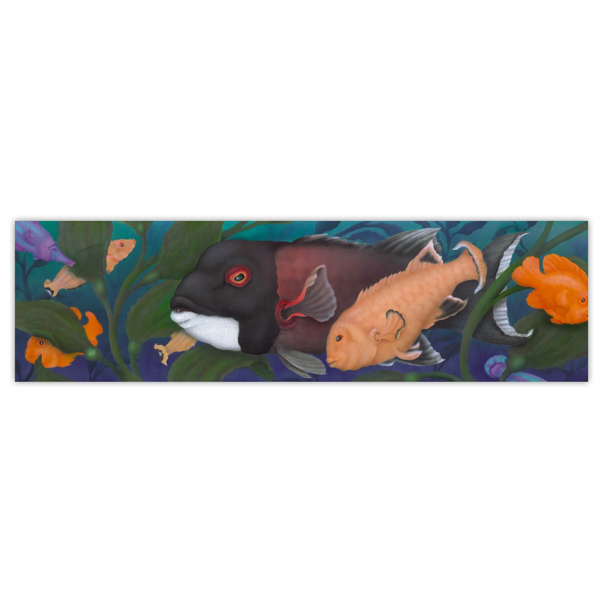 Sheephead's Romance