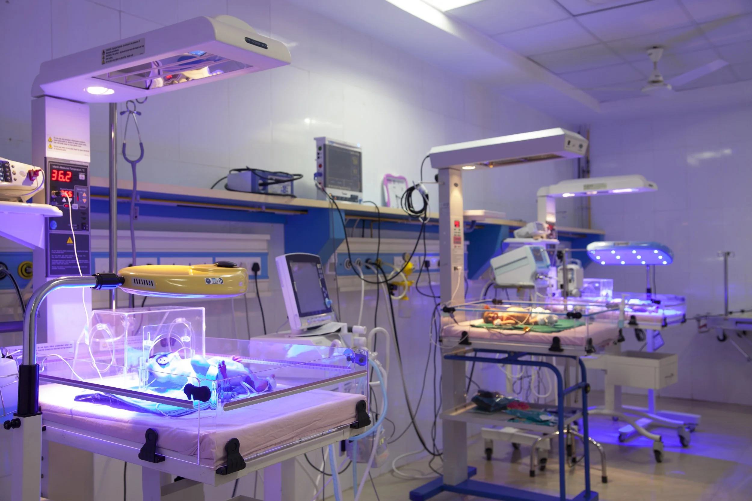 nicu.jpg