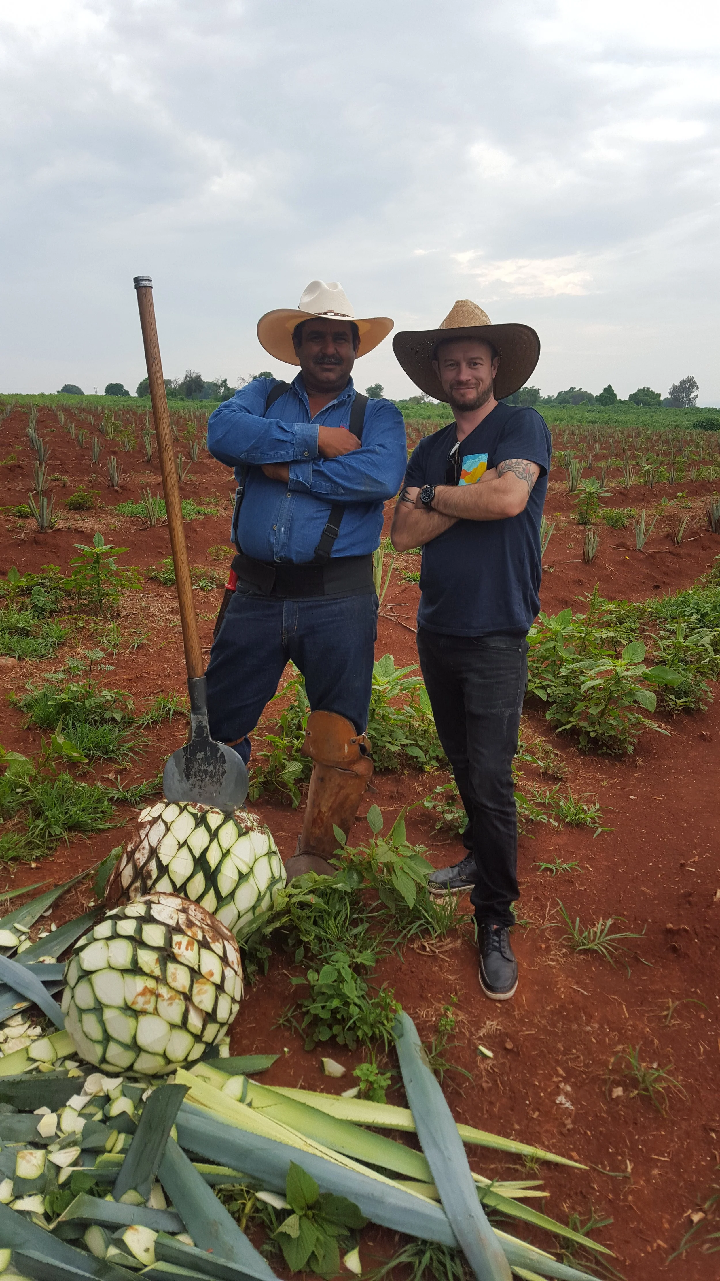 Two men standing in a farm field with pineapple plants, one with a shovel and large boots, and the other with a wide-brimmed hat.