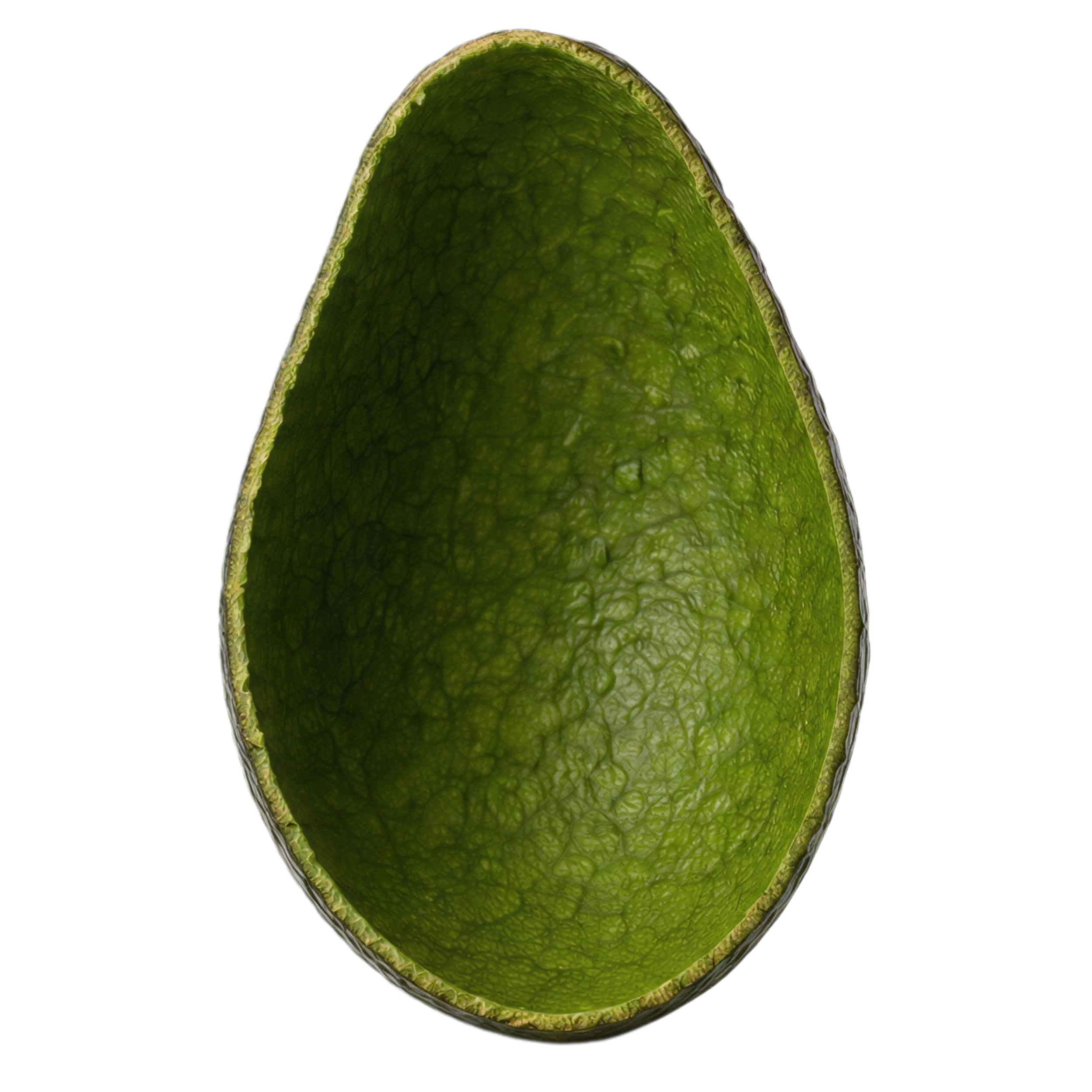 Ausschnitt einer grünen, halbierten Aloe Vera Pflanze mit sichtbarer innerer Gel-Schicht.