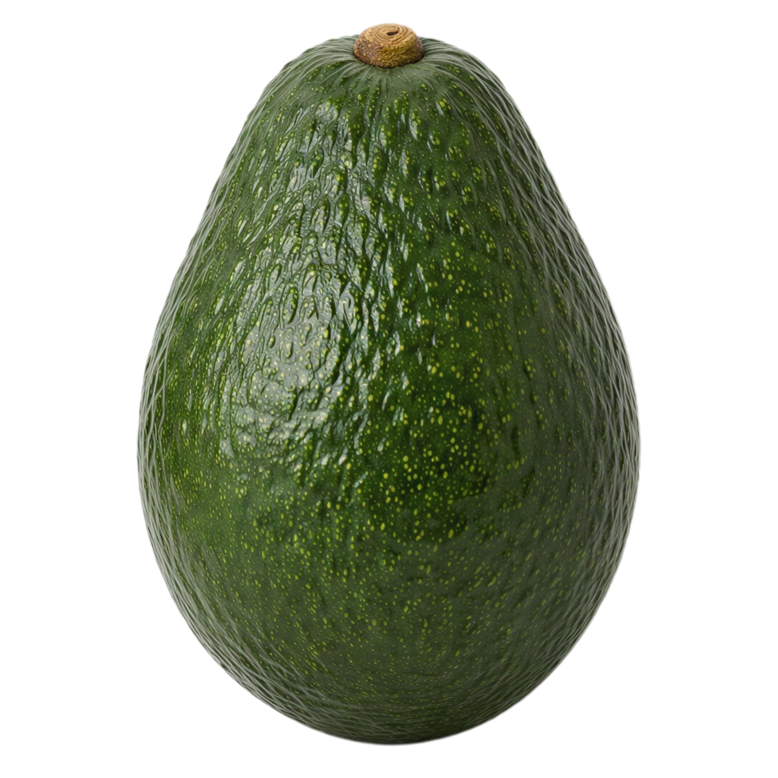 Kernprofil