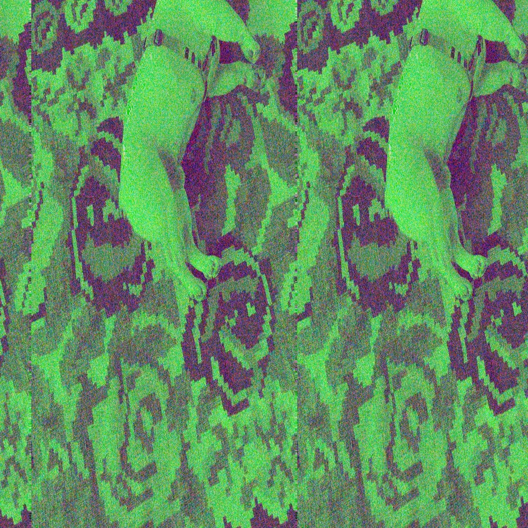 Working like a Dog. ❤️
Bei bester Laune. 🙌
Dank Gustav. 🐖