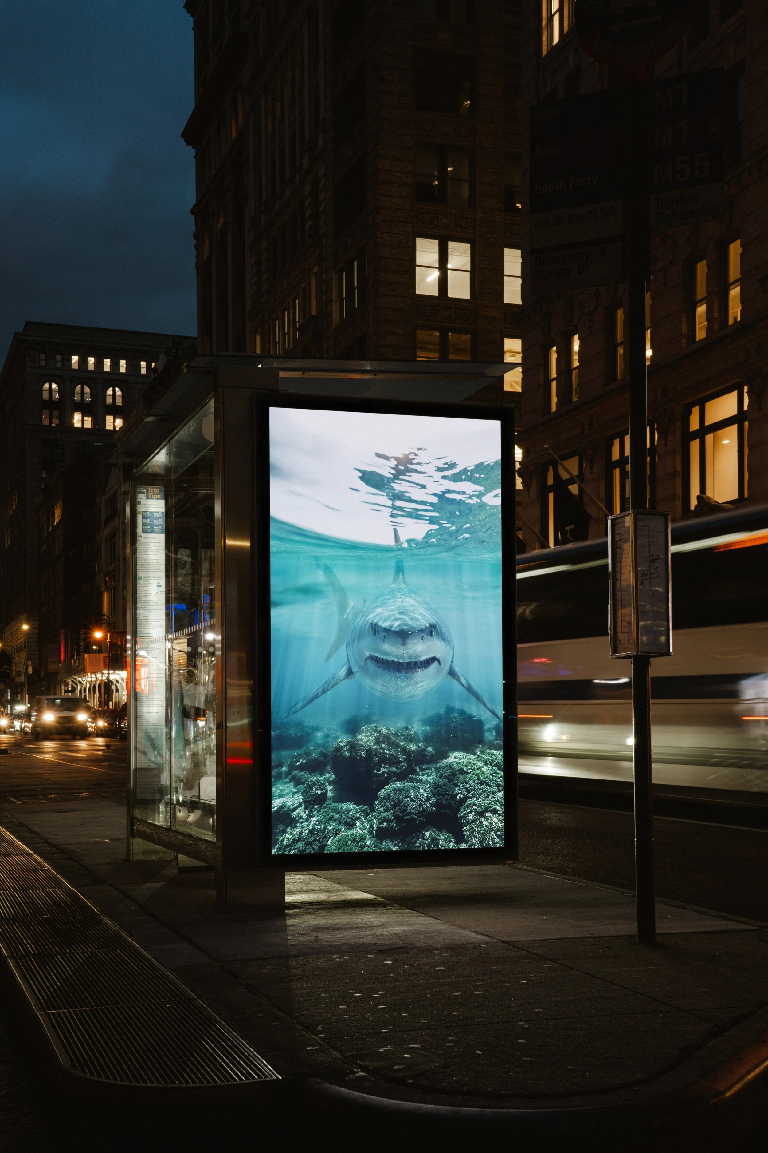 Ein beleuchteter Werbeasc hildschirm zeigt ein Unterwasserbild eines Haies, umgeben von Korallen und Meeresflora, in einer belebten Stadt bei Nacht.
