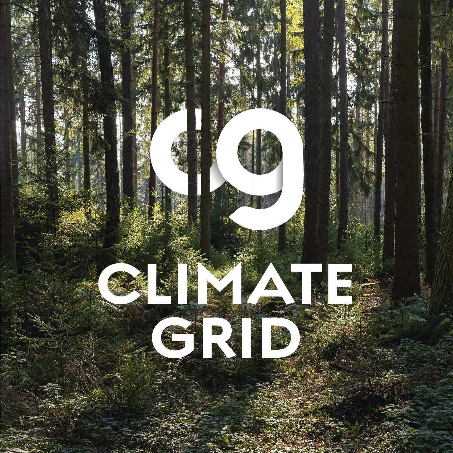 Climate Grid: Re-Branding