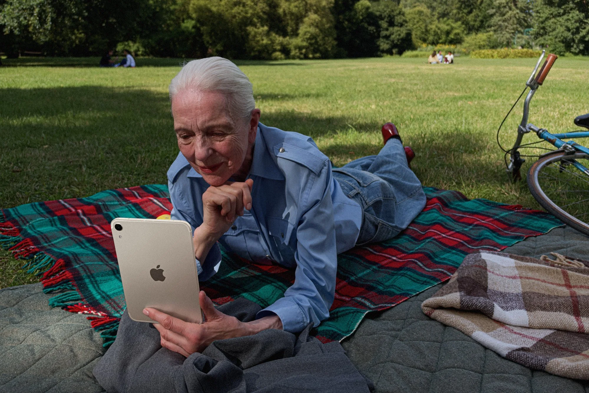 Homem deitado numa manta num parque a usar o novo iPad mini Luz das estrelas