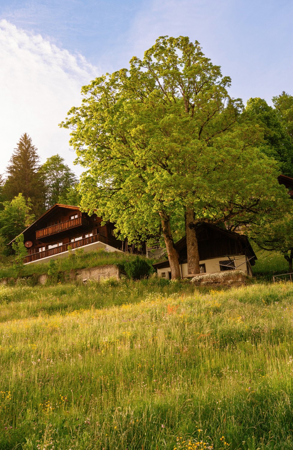 GrindelwaldSunset-1s.jpg