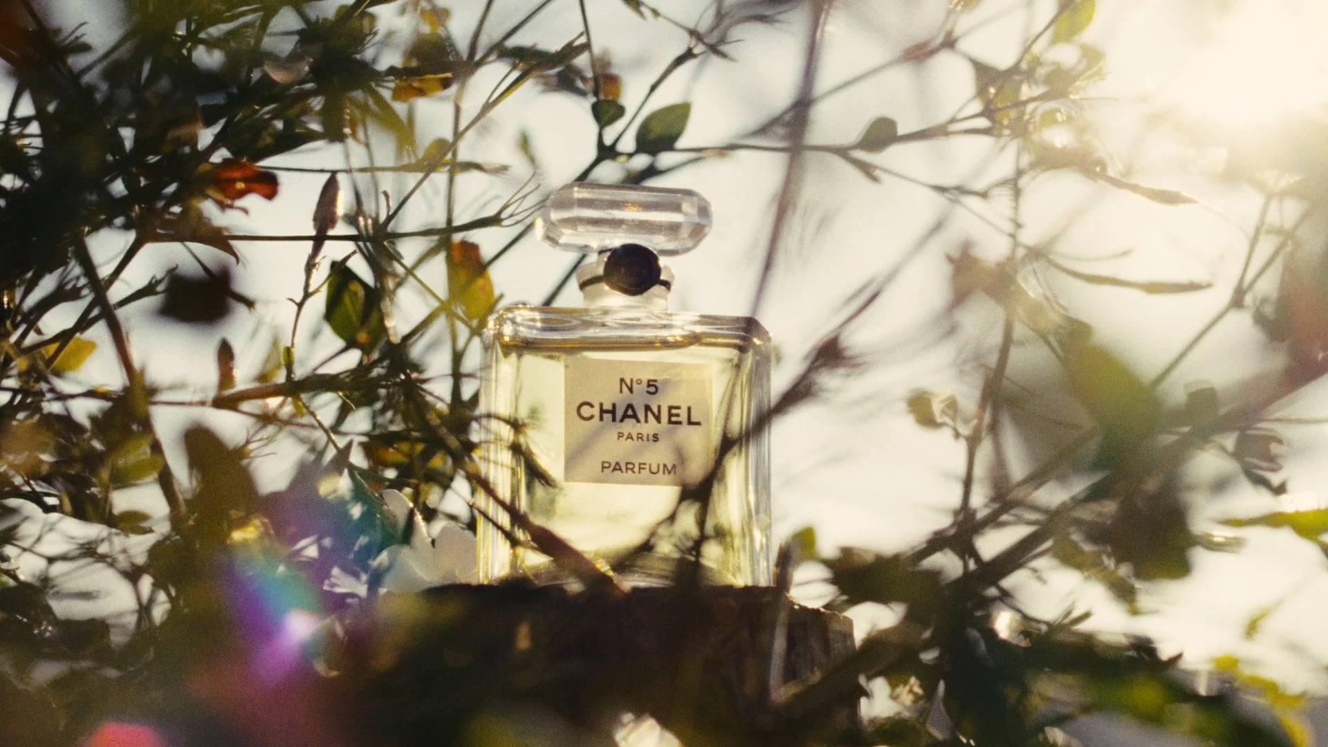 CHANEL BEAUTY - DIRECTOR/DOP
