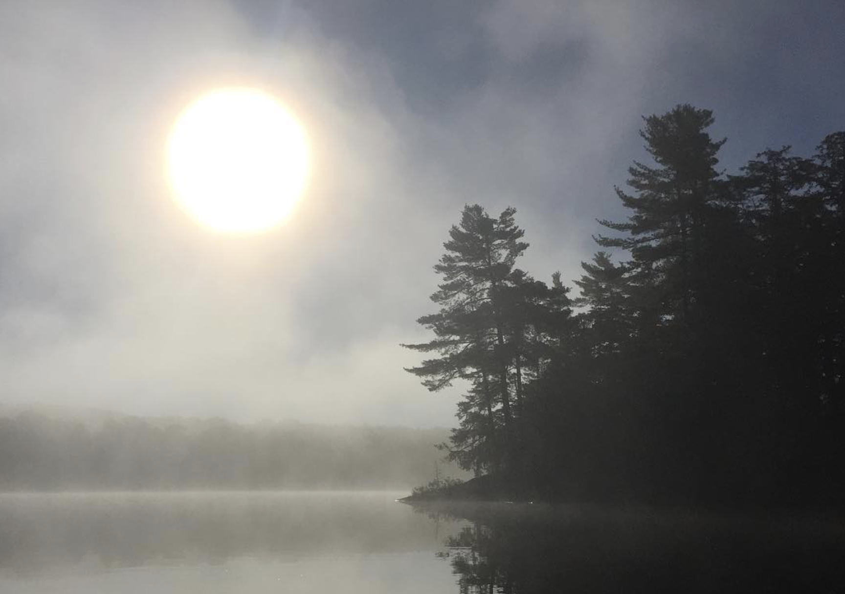 Sun shining brightly over a misty lake with a silhouette of tall pine trees on the right side.